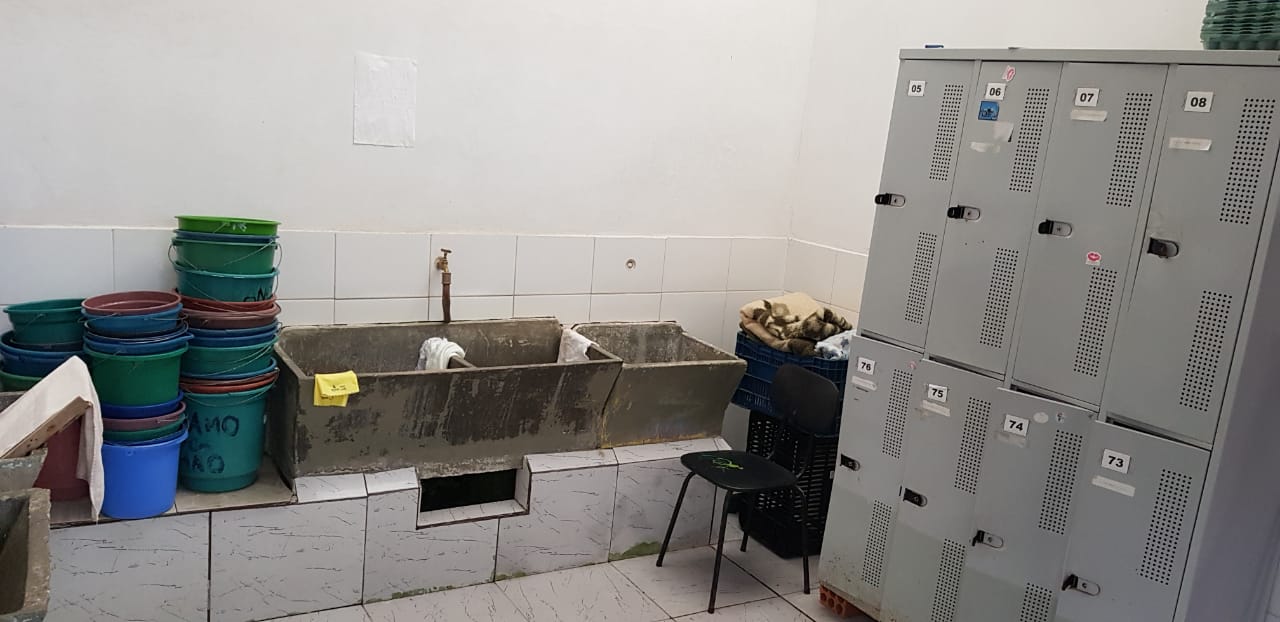 WhatsApp Image 2019-08-08 at 16.46.05 (4).jpeg