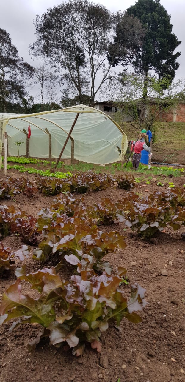 WhatsApp Image 2019-08-08 at 16.50.37 (1).jpeg