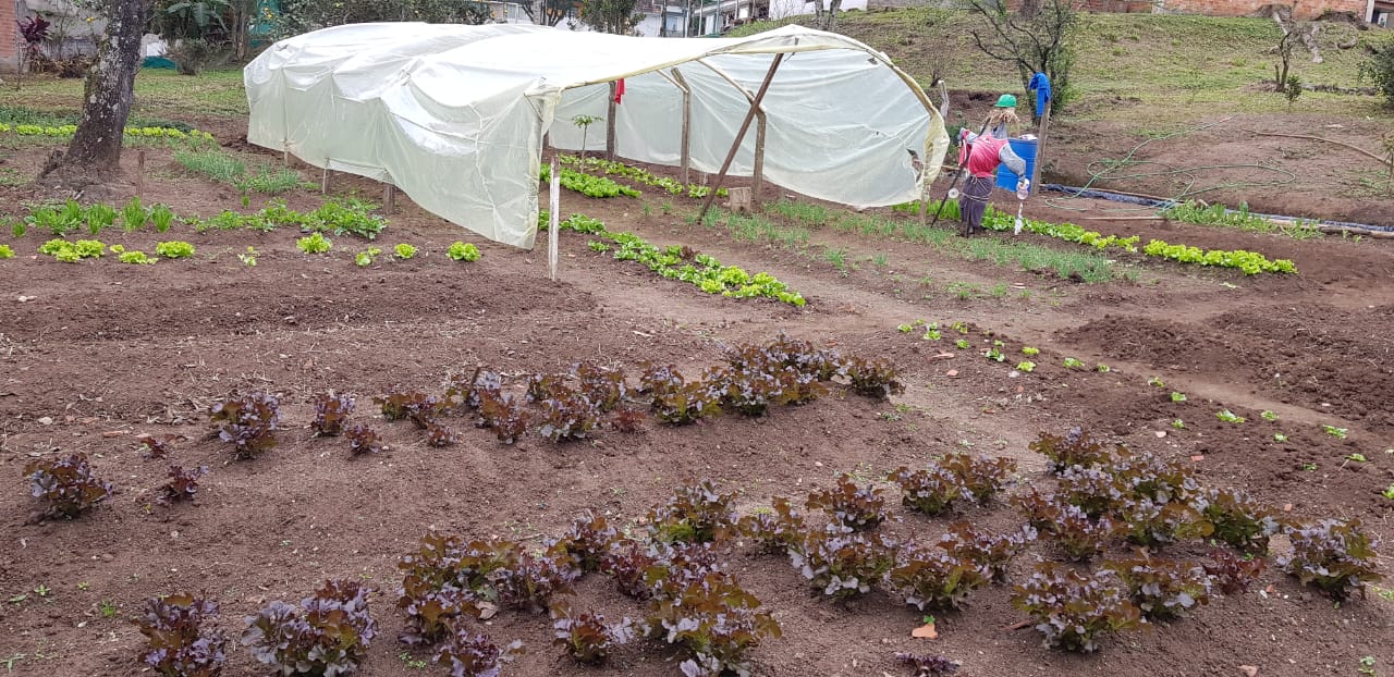 WhatsApp Image 2019-08-08 at 16.50.38.jpeg