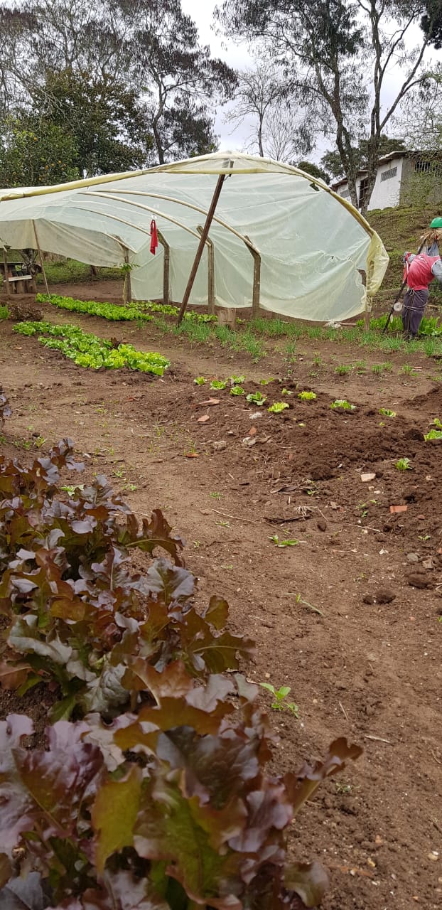 WhatsApp Image 2019-08-08 at 16.50.37.jpeg