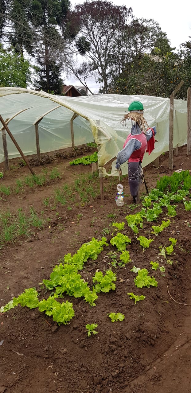 WhatsApp Image 2019-08-08 at 16.50.39.jpeg